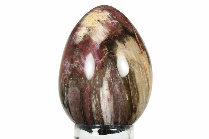 Colorful, Polished Petrified Wood Egg - Madagascar #245379